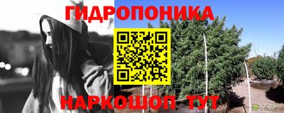молекула духа Нальчик