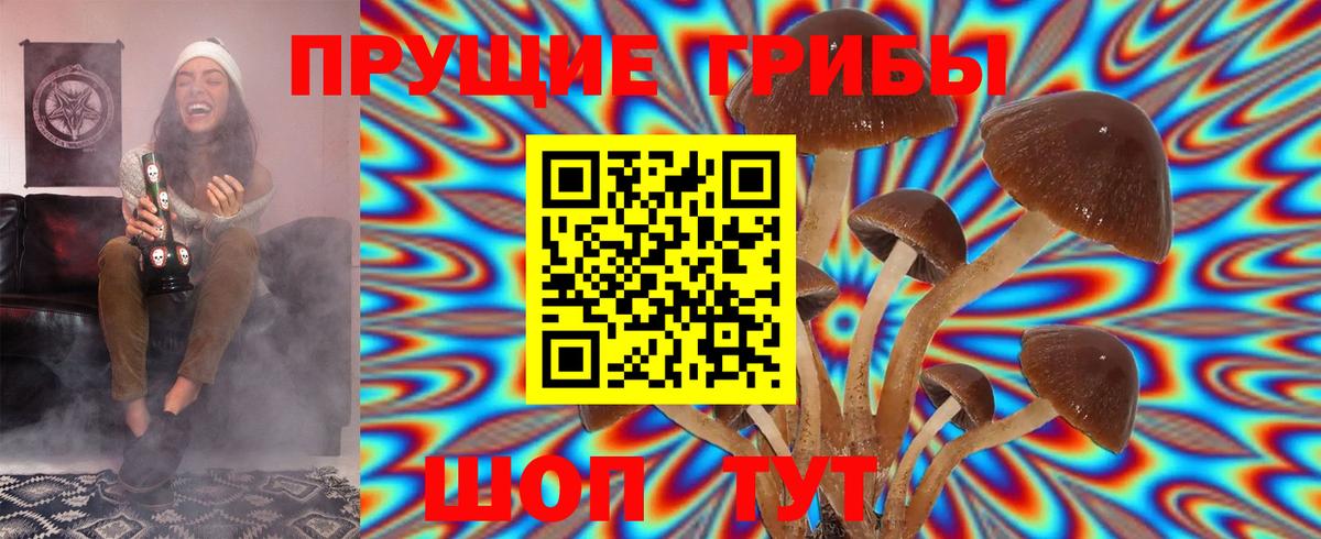 Псилоцибиновые грибы Psilocybine cubensis  Псилоцибиновые грибы Psilocybe  Вход с VPN  Кинешма 